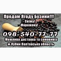 Реалізую ягоду бузини дрібним та великим оптом!Сезон 2025