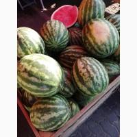 Продам кавун