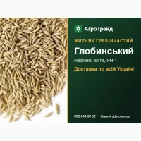 Житняк гре6ін4встий Гл06инський - нвсіння для п0сі8у