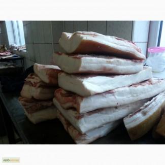 Куплю толстое сало