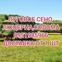 ЛЮЦЕРНА в тюках с доставкой. Есть б.н. Объёмы. Качество