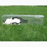 Клетка, котоловка, живоловка для безопасного отлова котов и кошек. Надежно. Недорого