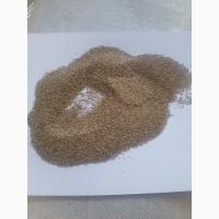 Тимофеевка луговая семена