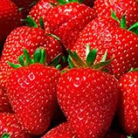 Клубника от производителя ЭКО - продукт