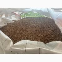 Боби кормові продам