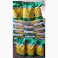 Високоврожайний гібрид соняшника - УРБАН OR7