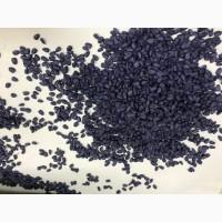 Високоврожайний гібрид соняшника - УРБАН OR7