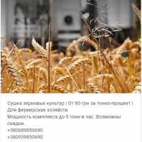 Услуги сушки зерновых, бобовых и масличных культур