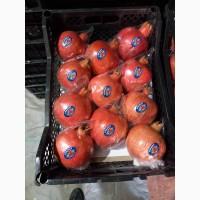 Гранат Узбекистан