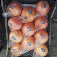 Гранат Узбекистан