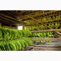 Продам Махорку Самосад без пыли и мусора! Супер цена