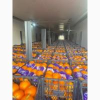 Продам апельсин