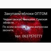 Закупаем яблоки ОПТОМ