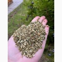 Продам недорого МАХОРКУ(Самосад)