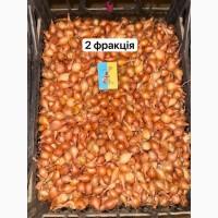 Продам тыканку, арпажик, арпаж, сеянка, штутгарт