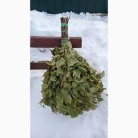 Продам банний віник береза