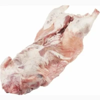 Продам м#039;ясо нутрії