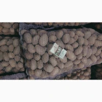 Насіння та средняя