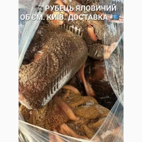Рубець яловичий