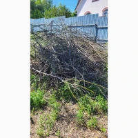Расчистка участков от зарослей спил деревьев