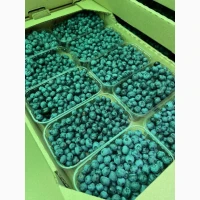 Куплю лохину дорого