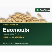 Насіння ячменю Еволюція (СГІ, Одеса) - озимий, еліта, РН-1