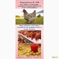 Вакцина против Ньюкаслской болезни птицы из штамма Ла-сота