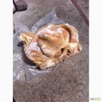 Продам рубец мытый и шпареный (чищеный)