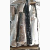 Хек, Испания, Аргентина