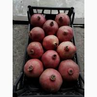 Продам гранат (Турция)