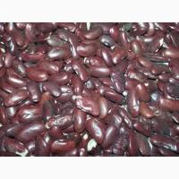 Продається червона квасоля Кармен