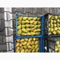 Продам грушу