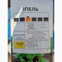 ІПЕЛЬ - Насіння цукрового буряку з високим виходом цукру з гектару