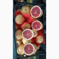 Продам Грейпфрут