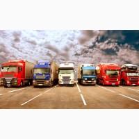 Продажа большой транспортной фирмы в Польше с международной лицензией на грузоперевозки