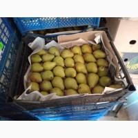 Продам грушу
