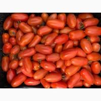 Розсада F1 :помідори, огірки, кабачки. ОПТ