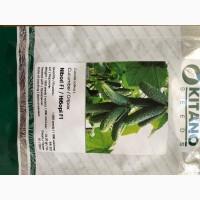 Розсада F1 :помідори, огірки, кабачки. ОПТ