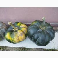 Продам гарбуз на кашу