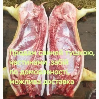 Продам домашню свиннину