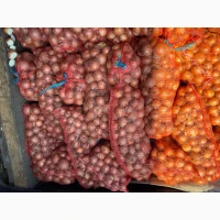 Продам цибулю на зелене перо