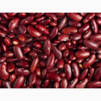 Квасоля на продаж, в асортименті 20+ сортів