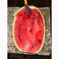 Тамерлан продаю