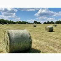 Продам сіно у тюках