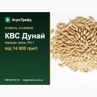 Насіння ячменю КВС Дунай (KWS) - озимий, еліта, РН-1, від 14 800 грн/т