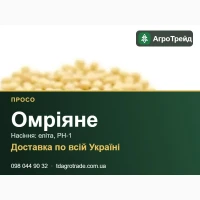 Омріяне - просо, насіння еліта, РН-1 з документами