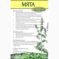 Мята 100гр