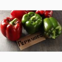 Продам перец геркулес
