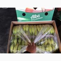 Продажа оптом банана Эквадор