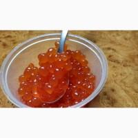 Икра Кеты очень вкусная